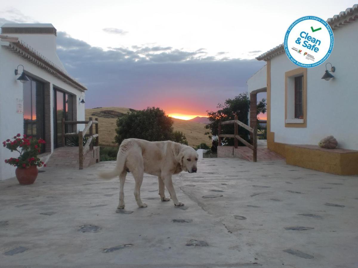 Horta Da Quinta Guest House Mértola Екстериор снимка