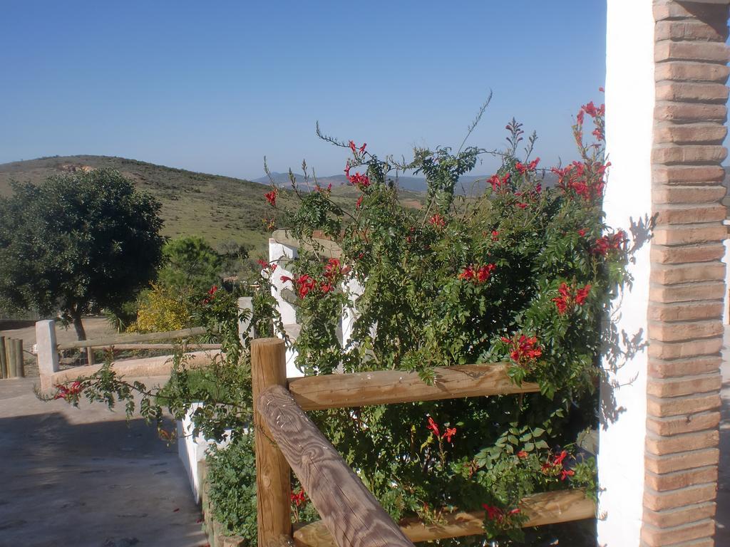 Horta Da Quinta Guest House Mértola Екстериор снимка